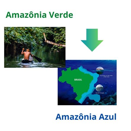 Diferença entre Amazônia Verde e Azul