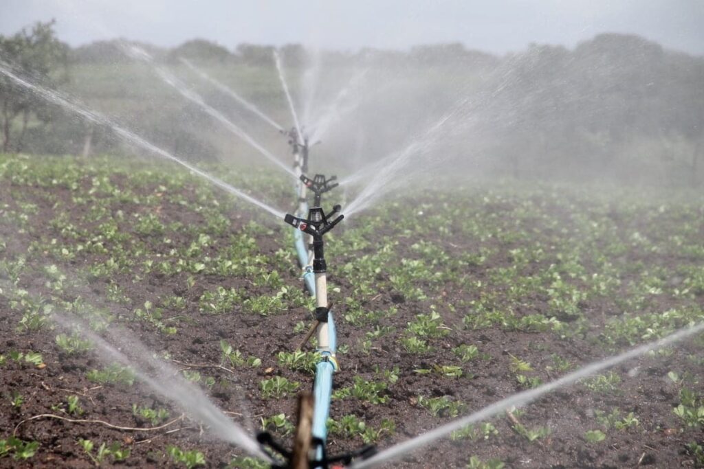 Irrigação por aspersão