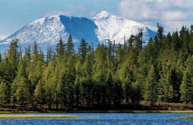 Taiga: características do bioma, clima e localização, desafios, diferenças entre taiga e tundra