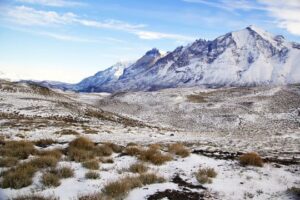 Tundra: principais características, fauna, flora, clima, localização e desafios