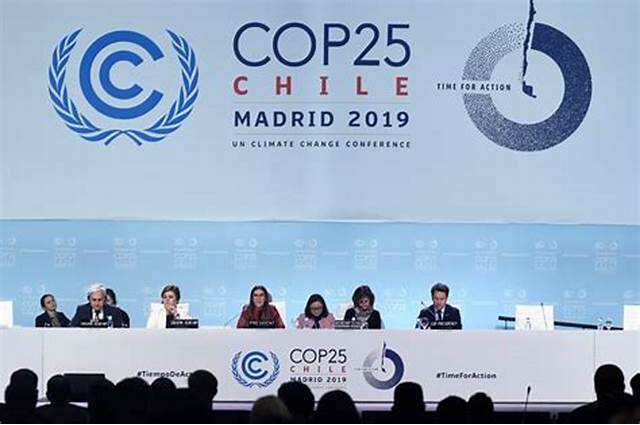 COP 25