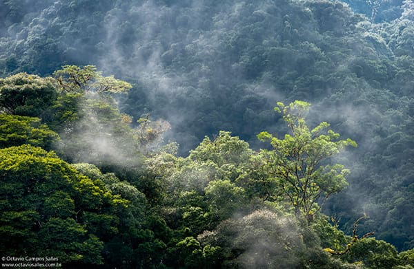 Ciclo Hidrológico da Amazônia