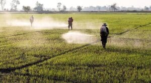 Controle no uso de fertilizantes químicos