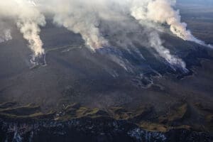 Criminalidade Ambiental