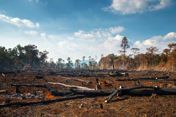 Danos aos Ecossistemas Terrestres