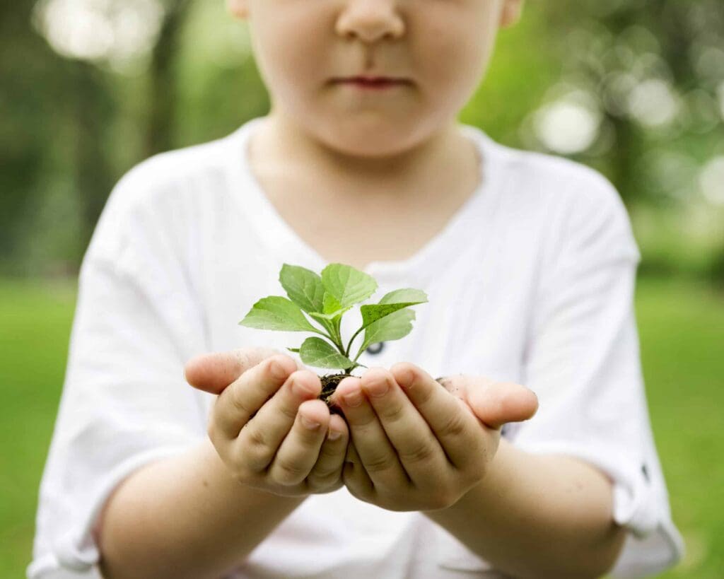Equilíbrio Ecológico