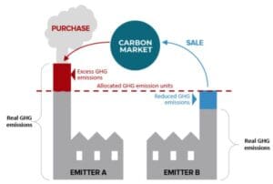 Mercado Global de Carbono