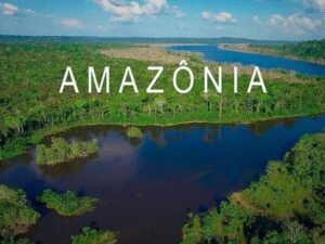 Pacto pela restauração da Amazônia