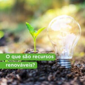 Recursos renováveis