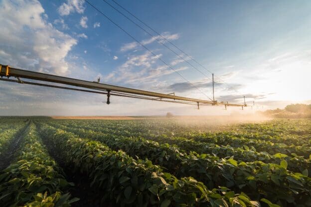 Agricultura Regenerativa? O que é, benefícios e técnicas