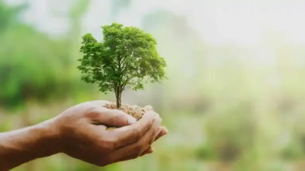 Manejo sustentável dos recursos naturais