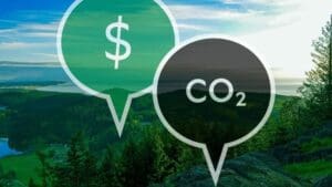 Mercados voluntários de carbono: como funcionam