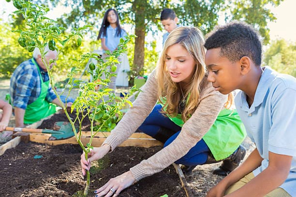 Educação ambiental