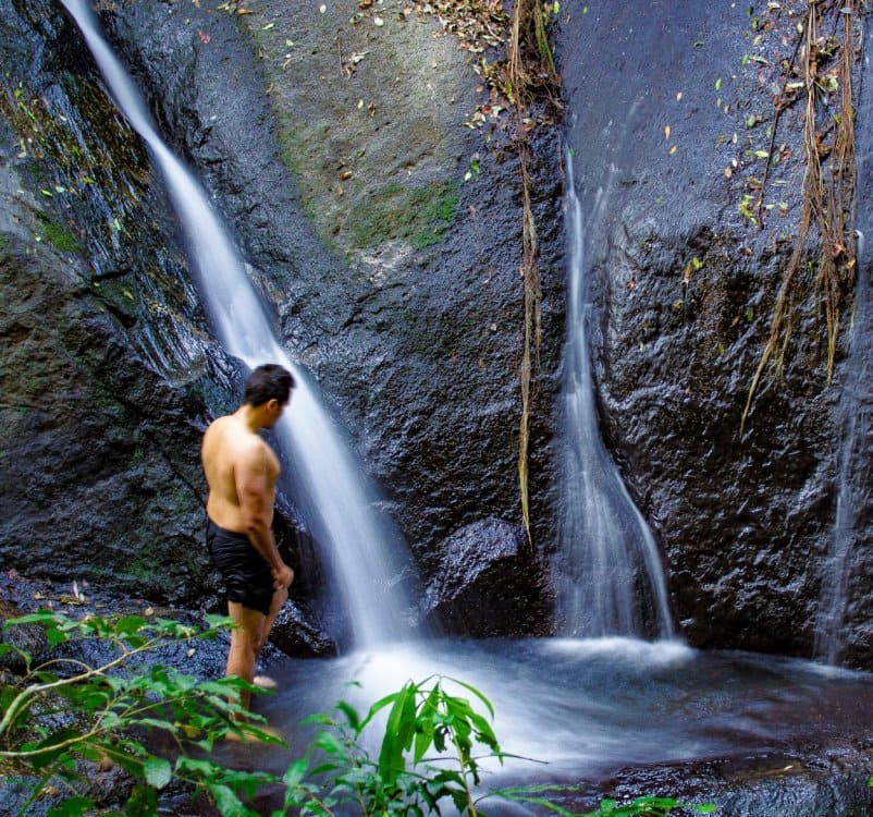 Parque Estadual da Cantareira