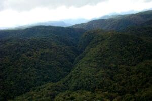 Parque Nacional Guaricana