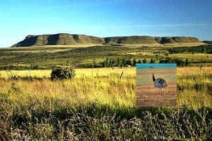 Parque Nacional das Emas