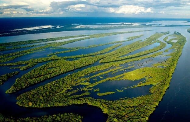 Parque Nacional de Anavilhanas