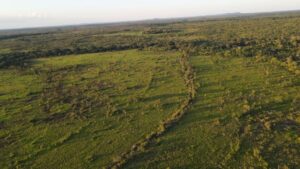 Parque Nacional de Campos Amazônicos