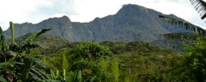 Parque Nacional de Saint Hilaire Lange