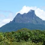 Parque Nacional do Pico da Neblina