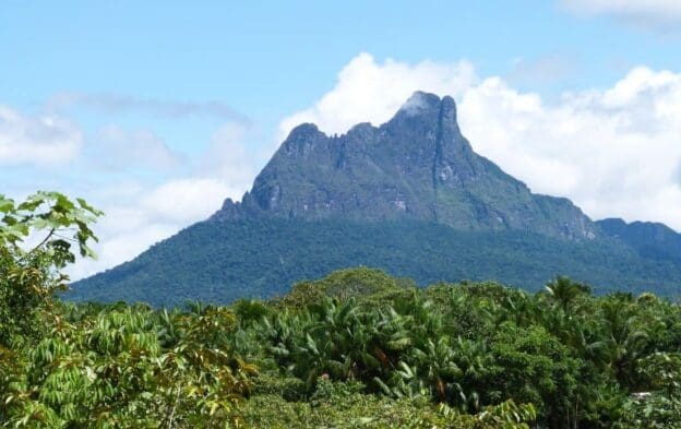 Parque Nacional do Pico da Neblina