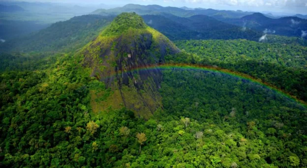 Parque nacional Montanhas do Tumucumaque