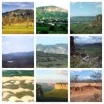 Parques nacionais mais visitados do Brasil Mosaico com 9 paisagens de biomas brasileiros e unidades de conservação.