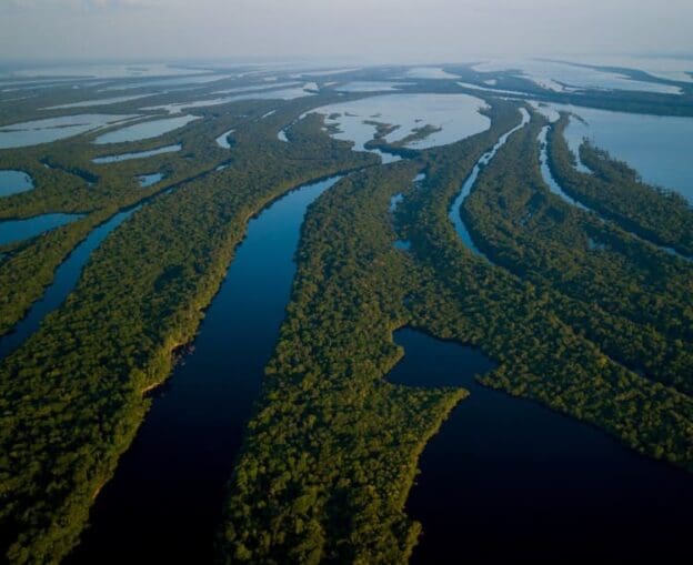 bacia amazônica - da Amazônia