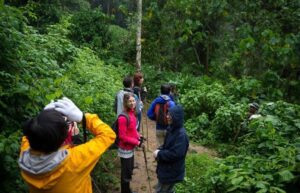 turismo ecológico - ecoturismo