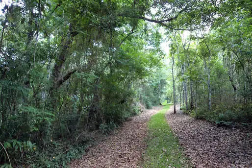 Parque Estadual do Rio Guarani