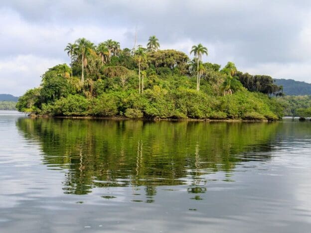 Parque Estadual da Ilha do Cardoso