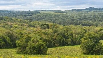 Parque Estadual do Podocarpus