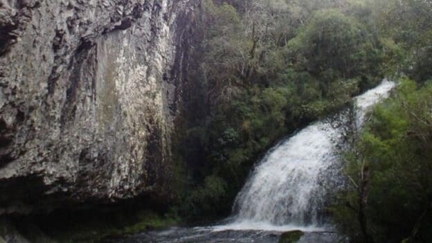 Parque Natural Municipal da Ronda