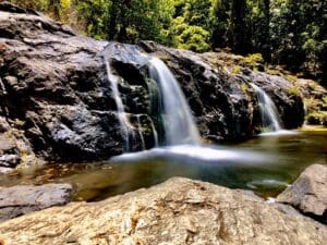 Parques nacionais do sudeste do Brasil