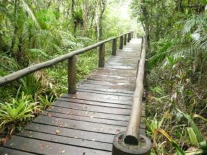 Parque Estadual Rio da Onça