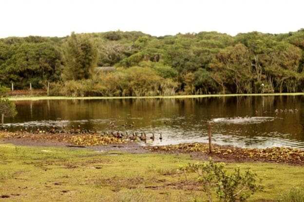 Parque Natural Municipal Tupancy