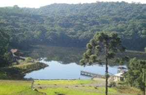 Parque Natural Municipal dos Pinheiros grande lago rodeado de vegetação densa e a frente um gramado