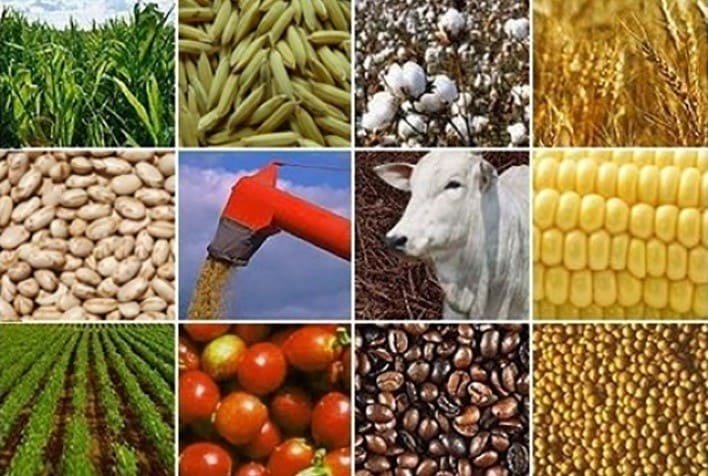 um mosaico de imagens mostram produtos da agropecuária sustentável