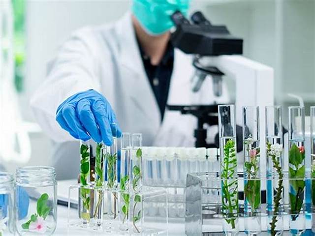 Ciências Biológicas - onde essa ciência atua e por que é essencial