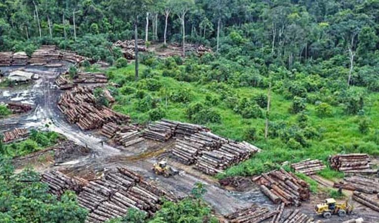 Desmatamento ilegal na Amazônia