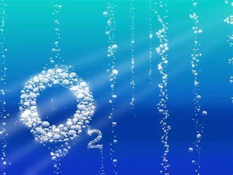 ilustração mostrando o mar como uma das fontes de oxigênio: uma água azul formando "O2" com bolhas.