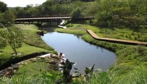 Parque Estadual de Ibiporã, curso d"agua margeado por gramado, árvores e há uma ponte de madeira a frente.