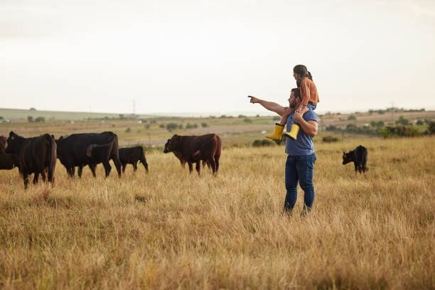 Um homem com sua filha pastoreia o gado com Pecuária Familiar