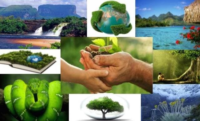 Proteção das áreas naturais