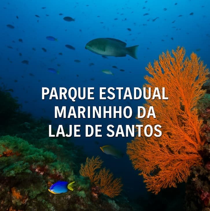 Parque Estadual Marinho da Laje de Santos