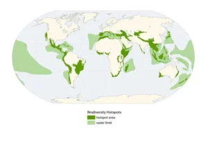 hotspots da biodiversidade