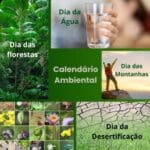 Calendário Ambiental