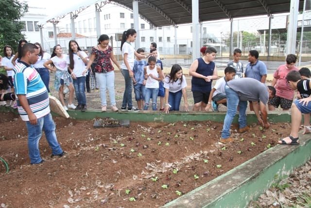 Oficina de compostagem