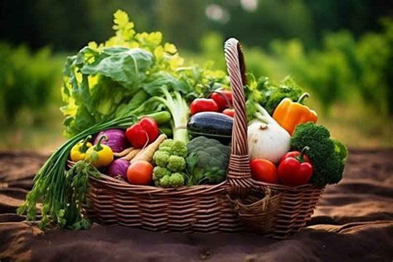 Uma cesta cheia de produtos orgânicos: tomate, brócolis, cebola. pimentão, cebolinha, etc.