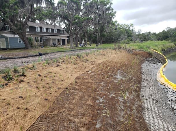 Recuperação ambiental na margem de um rio, o solo está protegido por uma espécie de malha e há uma grande extensão de mudas plantadas.